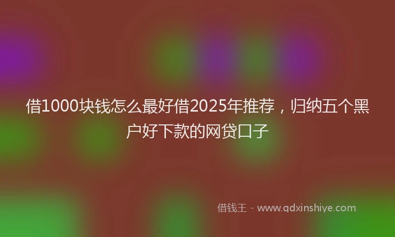 借1000块钱怎么最好借2025年推荐，归纳五个黑户好下款的网贷口子
