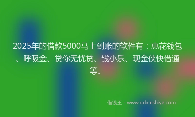 2025年的借款5000马上到账的软件有：惠花钱包、呼吸金、贷你无忧贷、钱小乐、现金侠快借通等。