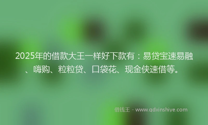 2025年的借款大王一样好下款有：易贷宝速易融、嗨购、粒粒贷、口袋花、现金侠速借等。