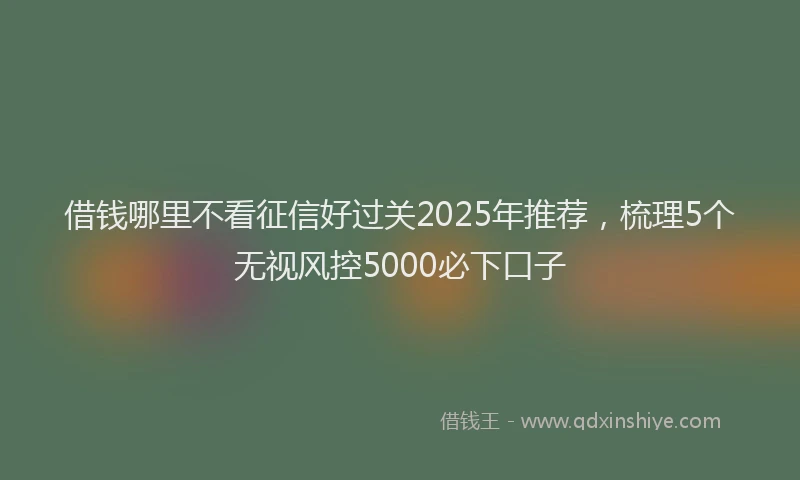 借钱哪里不看征信好过关2025年推荐，梳理5个无视风控5000必下口子