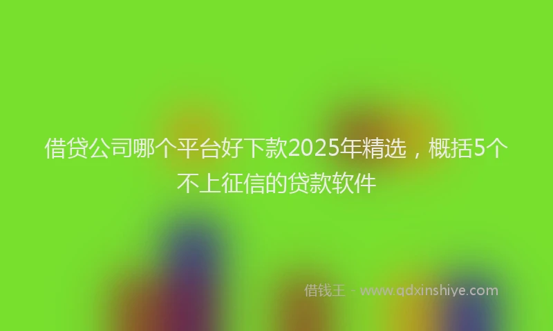借贷公司哪个平台好下款2025年精选，概括5个不上征信的贷款软件