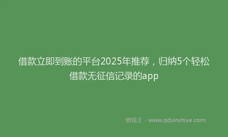 借款立即到账的平台2025年推荐，归纳5个轻松借款无征信记录的app