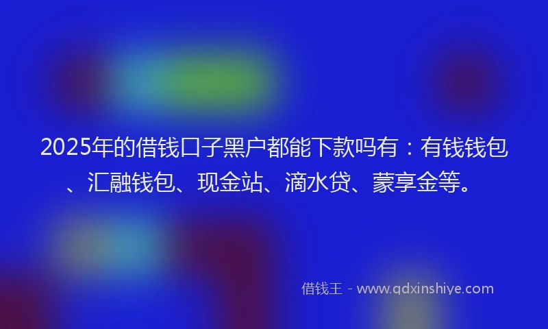 2025年的借钱口子黑户都能下款吗有：有钱钱包、汇融钱包、现金站、滴水贷、蒙享金等。