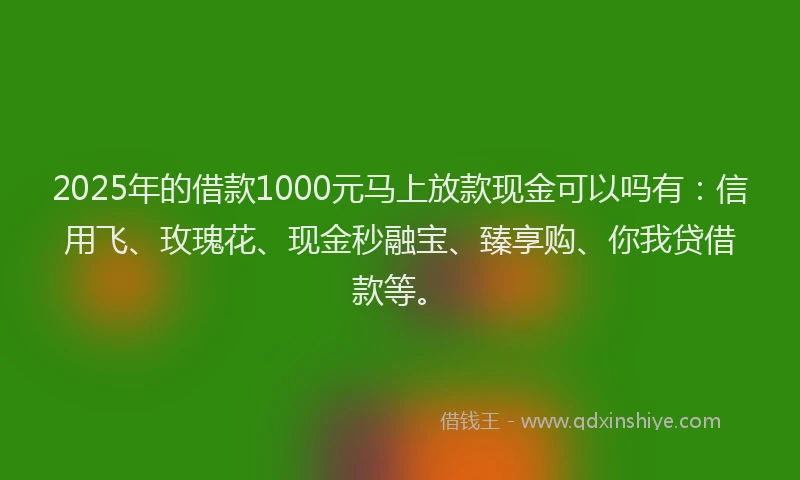 2025年的借款1000元马上放款现金可以吗有：信用飞、玫瑰花、现金秒融宝、臻享购、你我贷借款等。