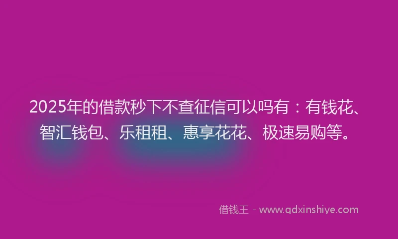 2025年的借款秒下不查征信可以吗有:有钱花、智汇钱包、乐租租、惠享花花、极速易购等。