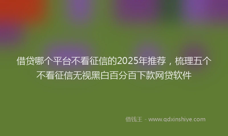 借贷哪个平台不看征信的2025年推荐，梳理五个不看征信无视黑白百分百下款网贷软件