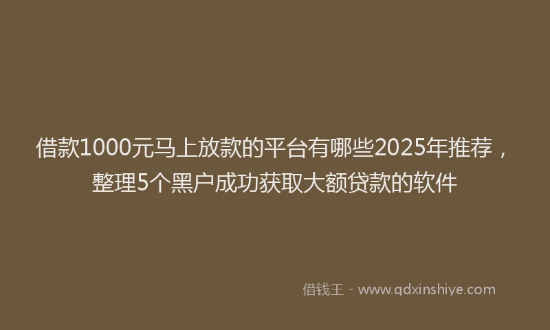 借款1000元马上放款的平台有哪些2025年推荐，整理5个黑户成功获取大额贷款的软件