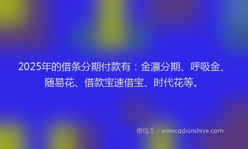 2025年的借条分期付款有：金瀛分期、呼吸金、随易花、借款宝速借宝、时代花等。