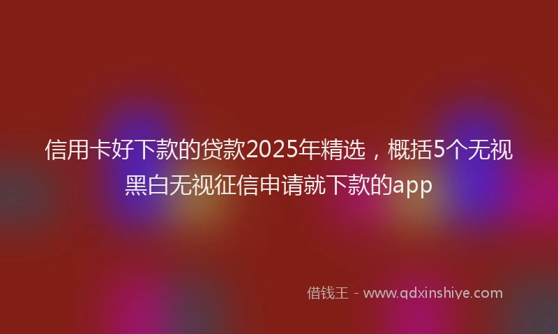 信用卡好下款的贷款2025年精选，概括5个无视黑白无视征信申请就下款的app