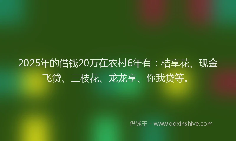 2025年的借钱20万在农村6年有：桔享花、现金飞贷、三枝花、龙龙享、你我贷等。