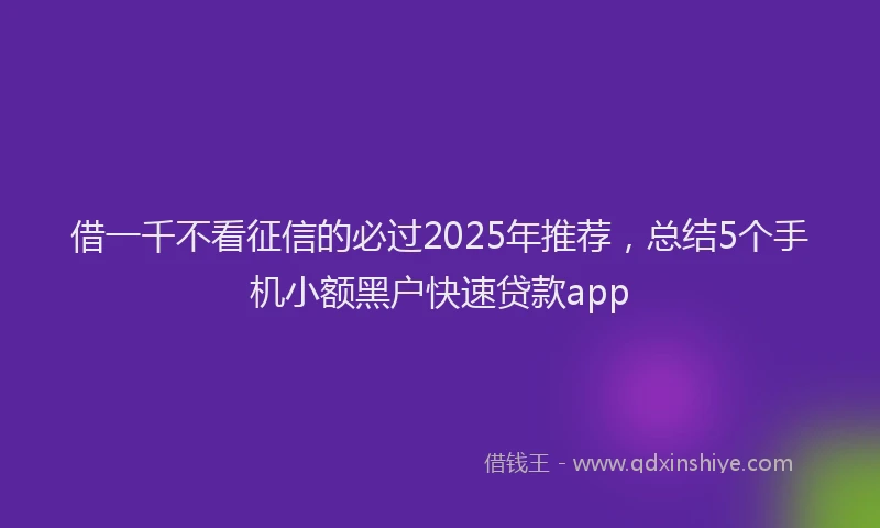 借一千不看征信的必过2025年推荐，总结5个手机小额黑户快速贷款app
