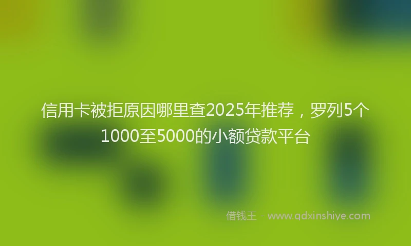 信用卡被拒原因哪里查2025年推荐，罗列5个1000至5000的小额贷款平台