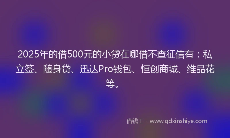 2025年的借500元的小贷在哪借不查征信有：私立签、随身贷、迅达Pro钱包、恒创商城、维品花等。