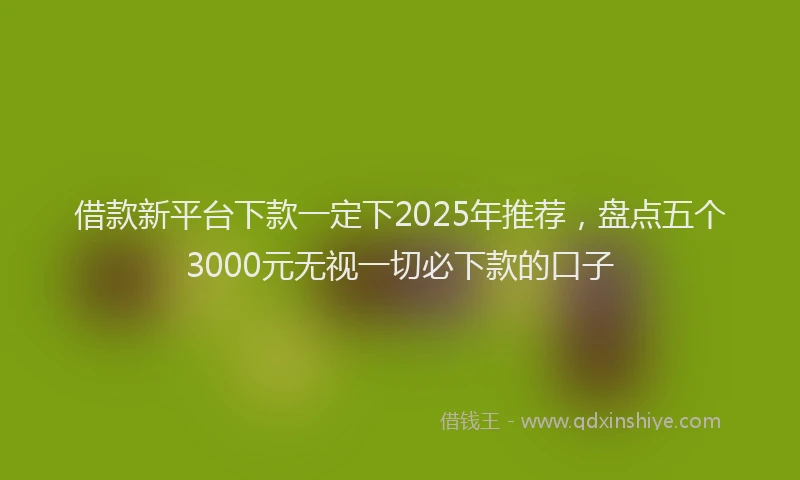 借款新平台下款一定下2025年推荐，盘点五个3000元无视一切必下款的口子