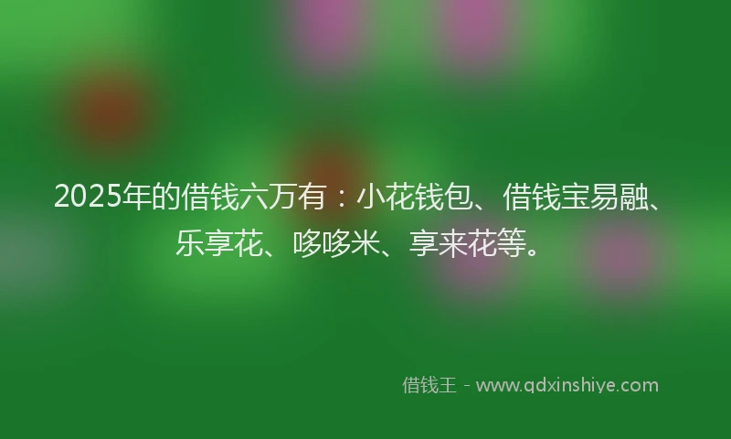 2025年的借钱六万有：小花钱包、借钱宝易融、乐享花、哆哆米、享来花等。
