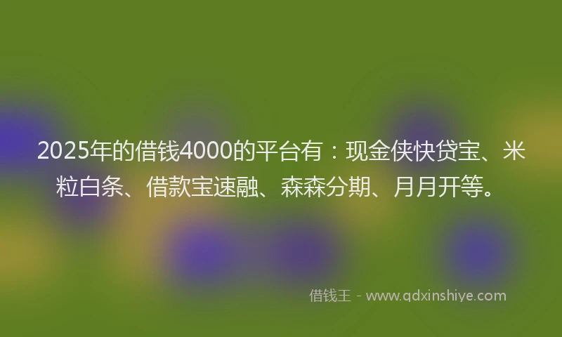 2025年的借钱4000的平台有：现金侠快贷宝、米粒白条、借款宝速融、森森分期、月月开等。