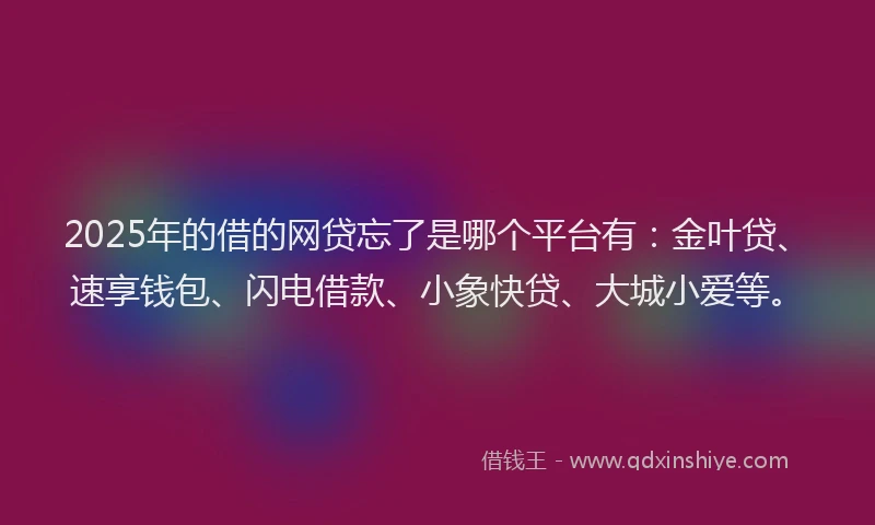 2025年的借的网贷忘了是哪个平台有：金叶贷、速享钱包、闪电借款、小象快贷、大城小爱等。