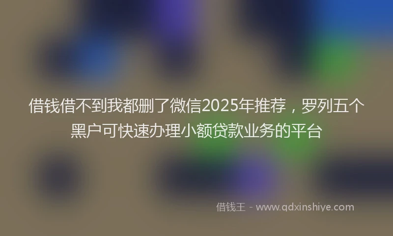 借钱借不到我都删了微信2025年推荐，罗列五个黑户可快速办理小额贷款业务的平台