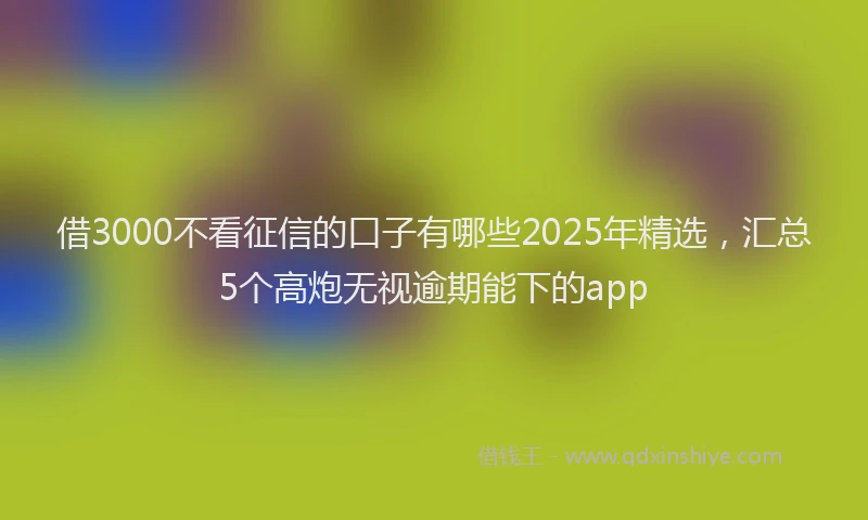 借3000不看征信的口子有哪些2025年精选，汇总5个高炮无视逾期能下的app