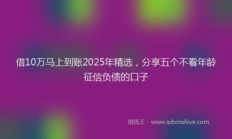 借10万马上到账2025年精选，分享五个不看年龄征信负债的口子