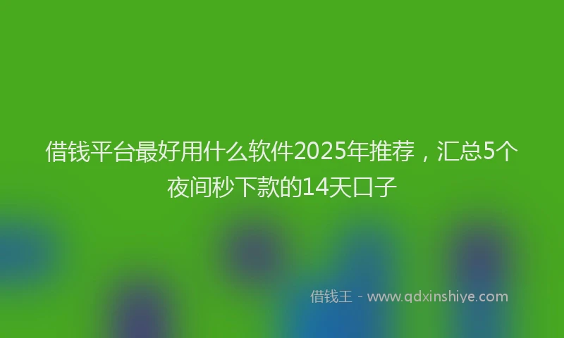 借钱平台最好用什么软件2025年推荐，汇总5个夜间秒下款的14天口子
