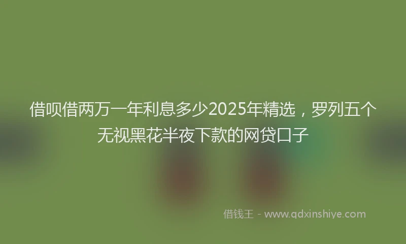 借呗借两万一年利息多少2025年精选，罗列五个无视黑花半夜下款的网贷口子