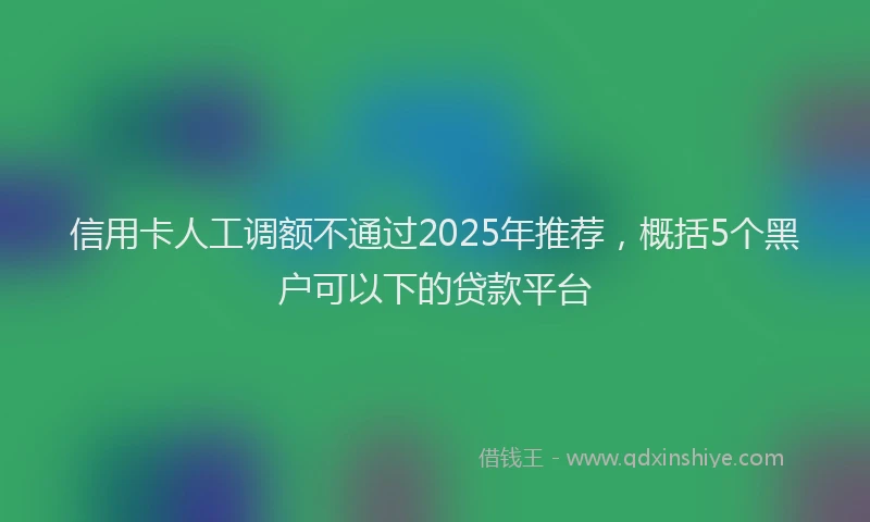 信用卡人工调额不通过2025年推荐，概括5个黑户可以下的贷款平台