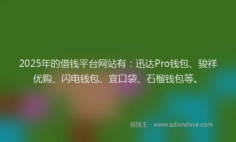 2025年的借钱平台网站有：迅达Pro钱包、骏祥优购、闪电钱包、宜口袋、石榴钱包等。