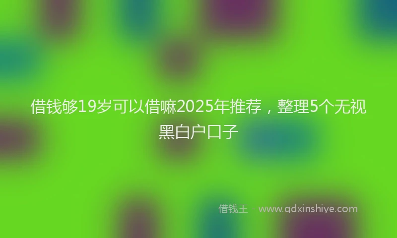 借钱够19岁可以借嘛2025年推荐，整理5个无视黑白户口子