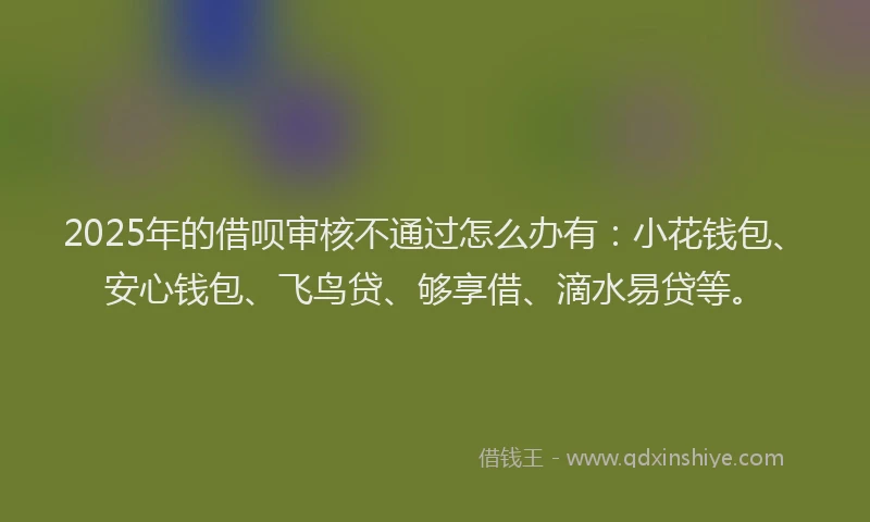 2025年的借呗审核不通过怎么办有：小花钱包、安心钱包、飞鸟贷、够享借、滴水易贷等。