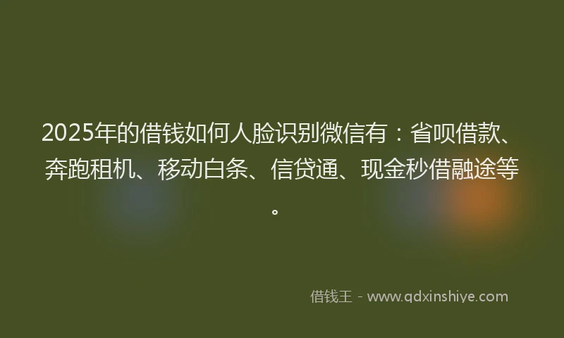 2025年的借钱如何人脸识别微信有：省呗借款、奔跑租机、移动白条、信贷通、现金秒借融途等。
