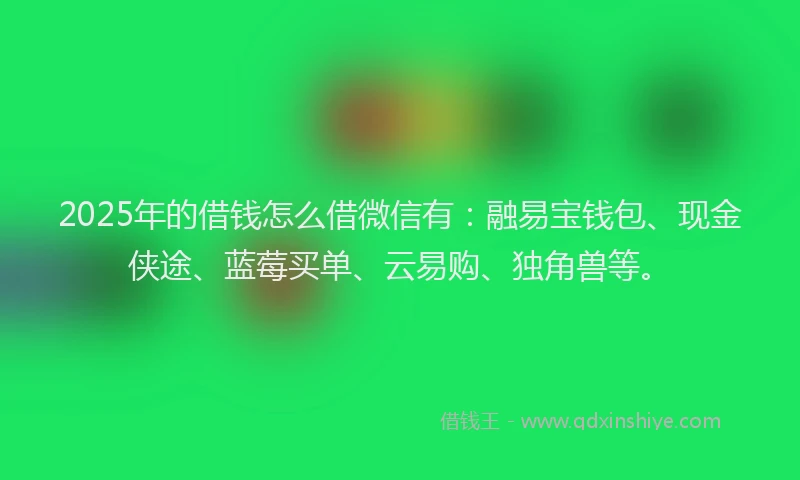 2025年的借钱怎么借微信有：融易宝钱包、现金侠途、蓝莓买单、云易购、独角兽等。