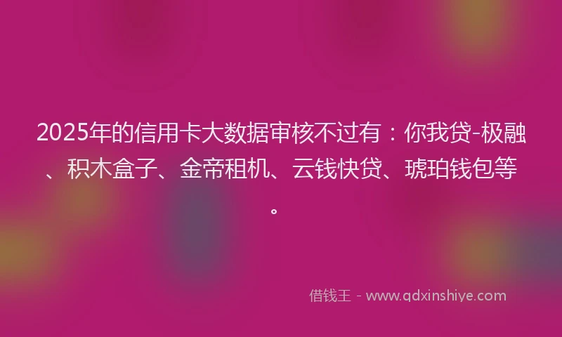 2025年的信用卡大数据审核不过有：你我贷-极融、积木盒子、金帝租机、云钱快贷、琥珀钱包等。