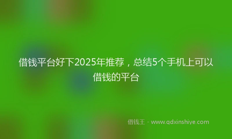 借钱平台好下2025年推荐，总结5个手机上可以借钱的平台