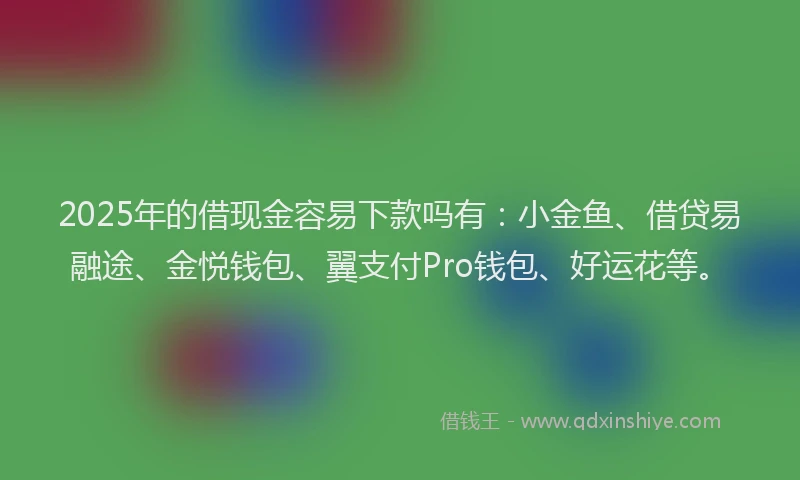 2025年的借现金容易下款吗有：小金鱼、借贷易融途、金悦钱包、翼支付Pro钱包、好运花等。