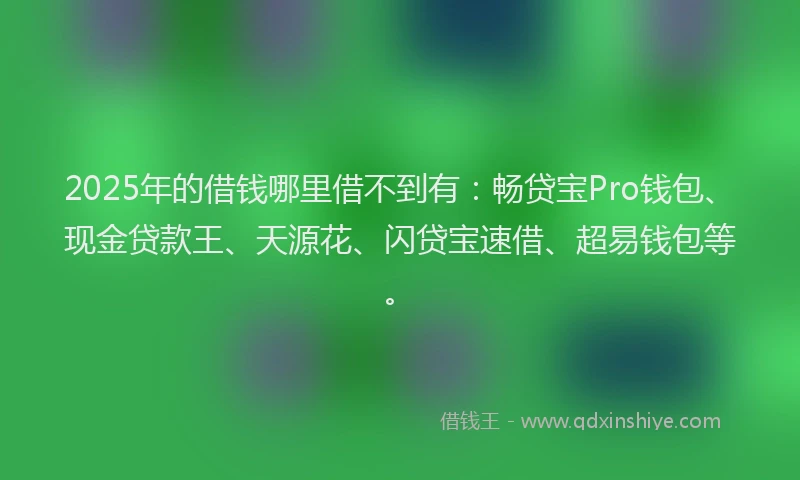 2025年的借钱哪里借不到有：畅贷宝Pro钱包、现金贷款王、天源花、闪贷宝速借、超易钱包等。