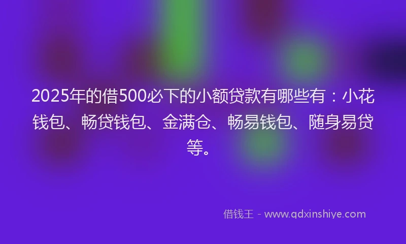 2025年的借500必下的小额贷款有哪些有：小花钱包、畅贷钱包、金满仓、畅易钱包、随身易贷等。
