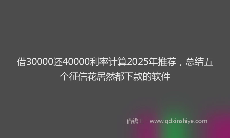 借30000还40000利率计算2025年推荐，总结五个征信花居然都下款的软件