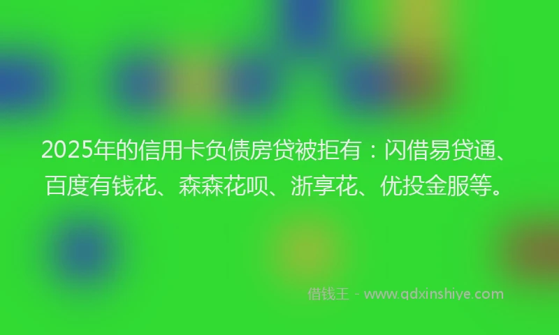 2025年的信用卡负债房贷被拒有：闪借易贷通、百度有钱花、森森花呗、浙享花、优投金服等。
