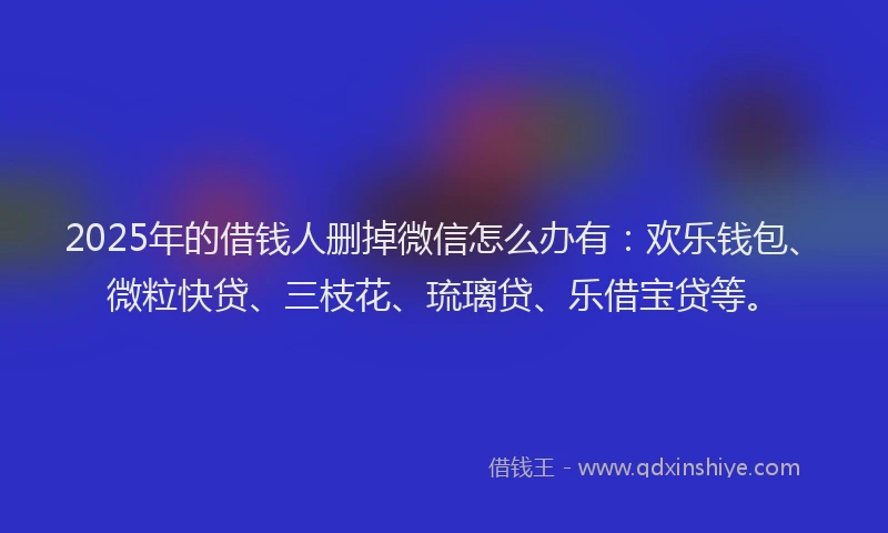 2025年的借钱人删掉微信怎么办有：欢乐钱包、微粒快贷、三枝花、琉璃贷、乐借宝贷等。