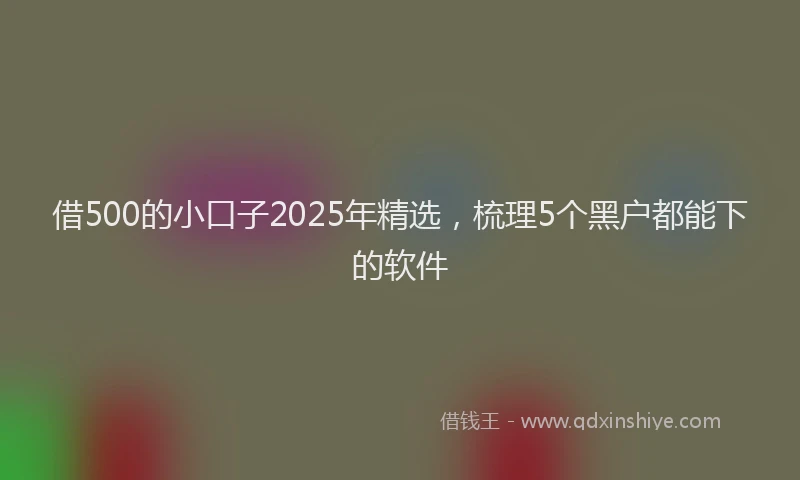借500的小口子2025年精选，梳理5个黑户都能下的软件