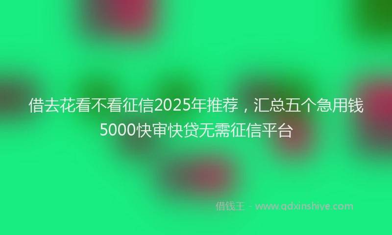 借去花看不看征信2025年推荐，汇总五个急用钱5000快审快贷无需征信平台