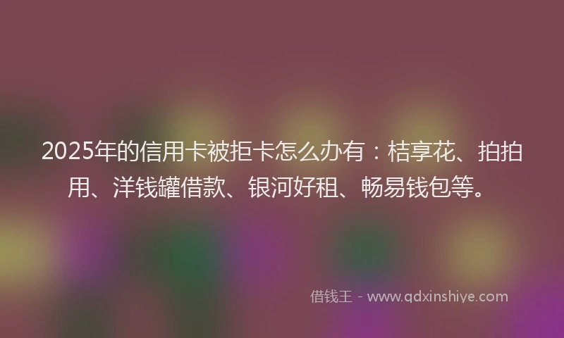 2025年的信用卡被拒卡怎么办有：桔享花、拍拍用、洋钱罐借款、银河好租、畅易钱包等。