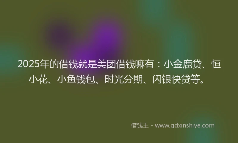 2025年的借钱就是美团借钱嘛有：小金鹿贷、恒小花、小鱼钱包、时光分期、闪银快贷等。