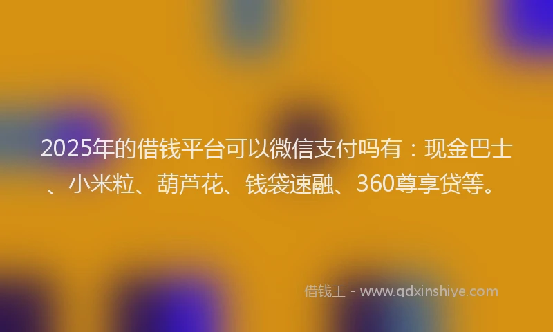 2025年的借钱平台可以微信支付吗有：现金巴士、小米粒、葫芦花、钱袋速融、360尊享贷等。