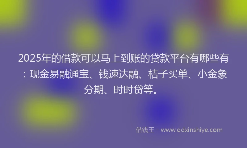 2025年的借款可以马上到账的贷款平台有哪些有：现金易融通宝、钱速达融、桔子买单、小金象分期、时时贷等。
