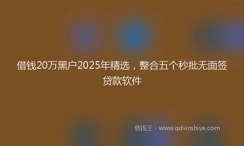借钱20万黑户2025年精选，整合五个秒批无面签贷款软件
