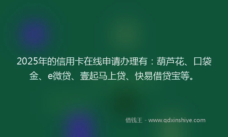 2025年的信用卡在线申请办理有：葫芦花、口袋金、e微贷、壹起马上贷、快易借贷宝等。