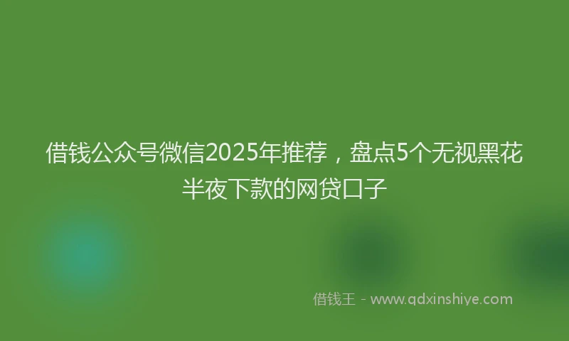 借钱公众号微信2025年推荐，盘点5个无视黑花半夜下款的网贷口子