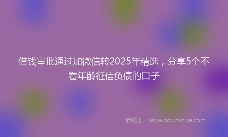 借钱审批通过加微信转2025年精选，分享5个不看年龄征信负债的口子